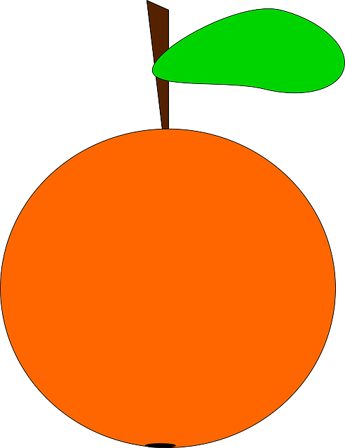 Free download Orange Fruit Citrus - Free vector graphic on Pixabay free illustration to be edited with GIMP free online image editor