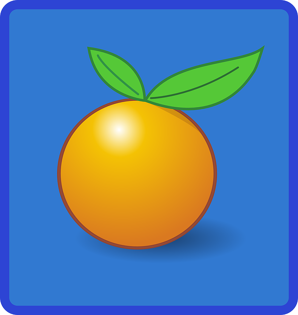 Free download Orange Fruit Food - Free vector graphic on Pixabay free illustration to be edited with GIMP free online image editor