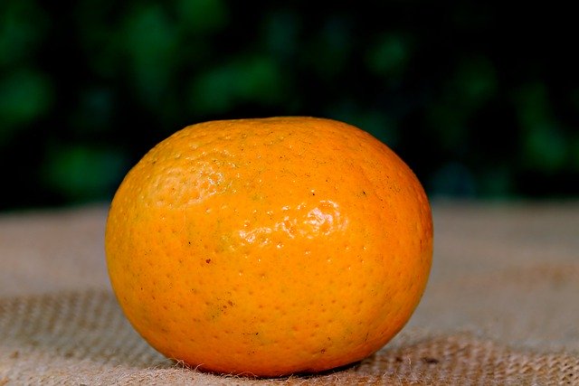 Free download orange fruit fresh healthy citrus free picture to be edited with GIMP free online image editor