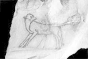 Free download Ostracon with sketch of a calf free photo or picture to be edited with GIMP online image editor