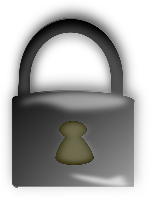 Free download Padlock Lock Key Hole - Free vector graphic on Pixabay free illustration to be edited with GIMP free online image editor