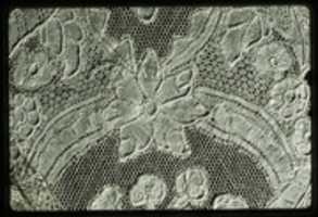 Free download Pair of lappets and papillon free photo or picture to be edited with GIMP online image editor