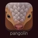 Pangolin VPN  screen for extension Chrome web store in OffiDocs Chromium