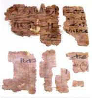 Free download Papyrus fragments free photo or picture to be edited with GIMP online image editor