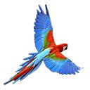 Parrot Safirmedya  screen for extension Chrome web store in OffiDocs Chromium