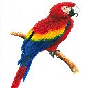 Parrot Theme  screen for extension Chrome web store in OffiDocs Chromium