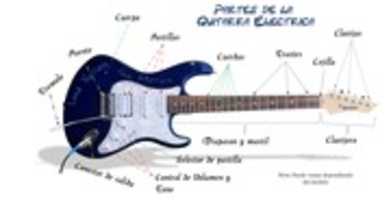 Free download Partes de la Guitarra electrica free photo or picture to be edited with GIMP online image editor