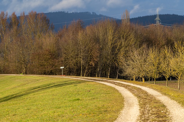 Free download path hike nature forest landscape free picture to be edited with GIMP free online image editor