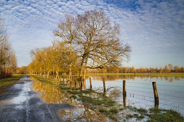 免费下载 Paysage Inondation Nature - 可使用 GIMP 在线图像编辑器编辑的免费照片或图片