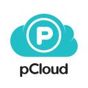 pCloud Save  screen for extension Chrome web store in OffiDocs Chromium