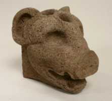 Free download Peccary Head Hacha free photo or picture to be edited with GIMP online image editor