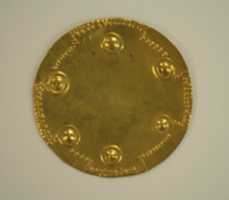 Free download Pectoral Disk free photo or picture to be edited with GIMP online image editor