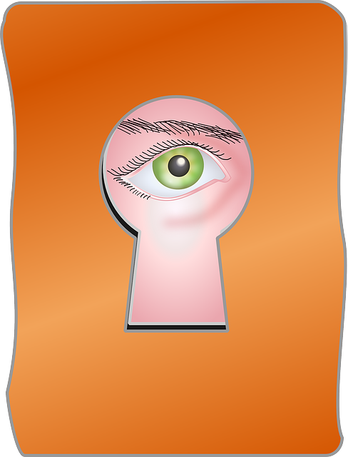 Free download Peek Watch Eye - Free vector graphic on Pixabay free illustration to be edited with GIMP free online image editor