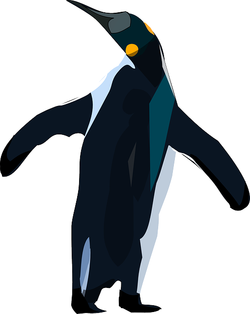 Free download Penguin Animal - Free vector graphic on Pixabay free illustration to be edited with GIMP free online image editor