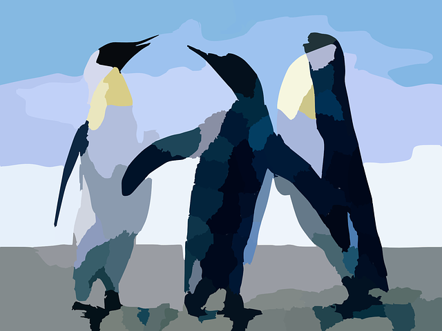 Free download Penguins Aquatic Birds - Free vector graphic on Pixabay free illustration to be edited with GIMP free online image editor