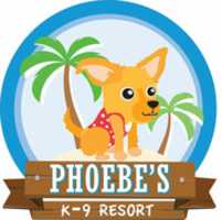 Free download Phoebes K 9 Resort free photo or picture to be edited with GIMP online image editor