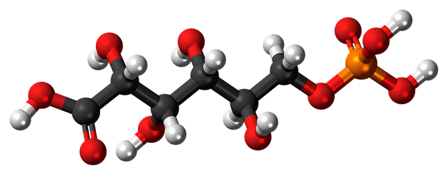 Free download Phosphogluconic Acid -  free illustration to be edited with GIMP free online image editor