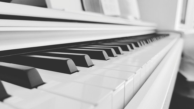 Free download piano keyboard pianist instrument free picture to be edited with GIMP free online image editor