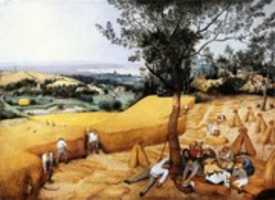 Free download Pieter Bruegel The Elder, The Harvesters free photo or picture to be edited with GIMP online image editor