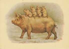 Free download Pig Family (ca 1900) free photo or picture to be edited with GIMP online image editor