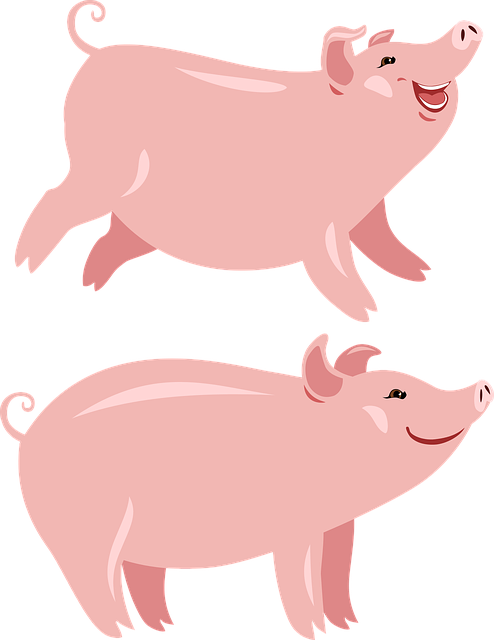 Free download Pigs Pig The Year OfFree vector graphic on Pixabay free illustration to be edited with GIMP online image editor