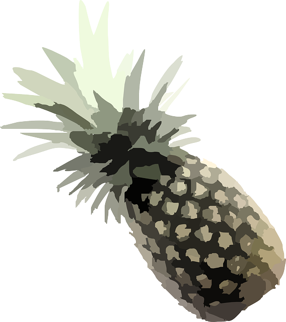 Free download Pineapple Plant Tropical - Free vector graphic on Pixabay free illustration to be edited with GIMP free online image editor