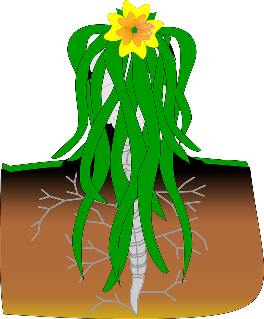 Free download Plant Brain Spine - Free vector graphic on Pixabay free illustration to be edited with GIMP free online image editor