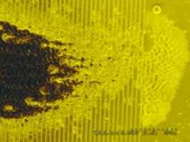 Free download Plasmonic Damage to nano-patterned gold-on-silicon free photo or picture to be edited with GIMP online image editor