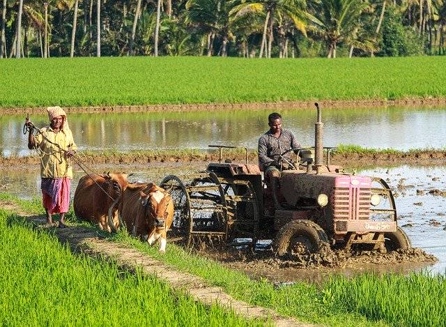 বিনামূল্যে ডাউনলোড করুন লাঙ্গল চাষ ট্রাক্টর - বিনামূল্যে বিনামূল্যে ছবি বা ছবি GIMP অনলাইন ইমেজ এডিটর দিয়ে সম্পাদনা করতে হবে