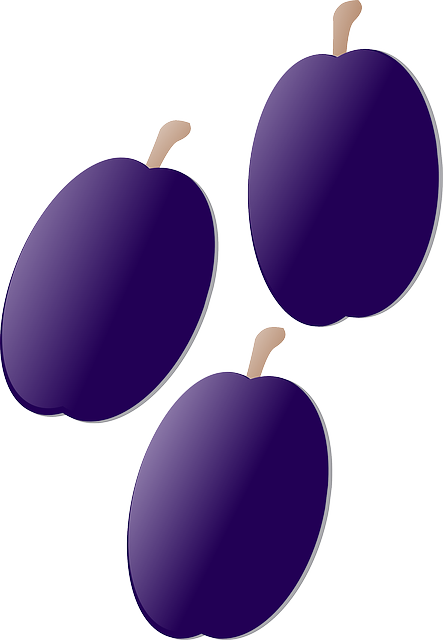 Free download Plum Purple Fruit - Free vector graphic on Pixabay free illustration to be edited with GIMP free online image editor