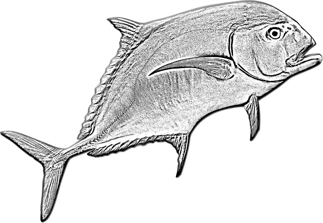 Free download Pompano Fish Fishing Game -  free illustration to be edited with GIMP free online image editor