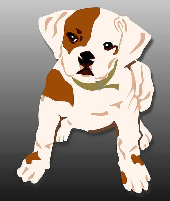 Free download Puppy Dog Bulldog - Free vector graphic on Pixabay free illustration to be edited with GIMP free online image editor