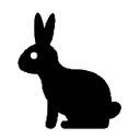 Rabbit Tracking  screen for extension Chrome web store in OffiDocs Chromium