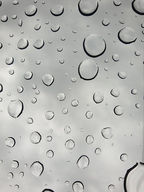 تنزيل مجاني Raindrops Drops Glass - صورة مجانية أو صورة يتم تحريرها باستخدام محرر الصور عبر الإنترنت GIMP