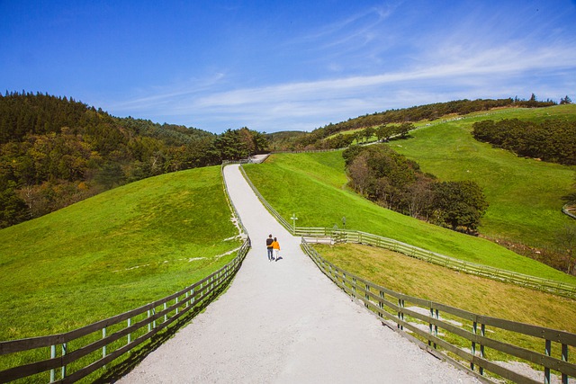 Free download ranch road hill mountain path free picture to be edited with GIMP free online image editor