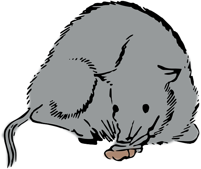 Free download Rat Mouse - Free vector graphic on Pixabay free illustration to be edited with GIMP free online image editor