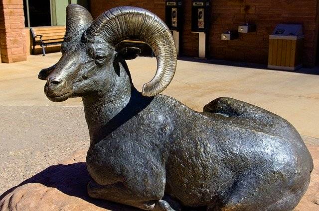 הורדה חינם ב-Relining Bighorn Ram Sculpture - תמונה או תמונה בחינם לעריכה עם עורך התמונות המקוון GIMP