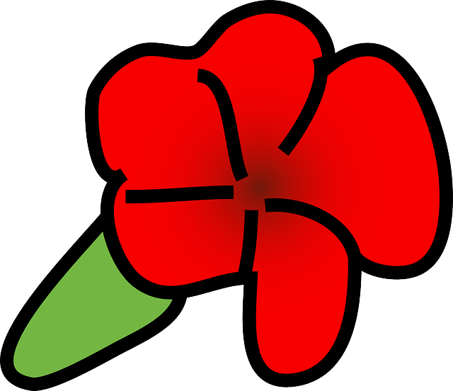 Free download Red Flower Blossom - Free vector graphic on Pixabay free illustration to be edited with GIMP free online image editor