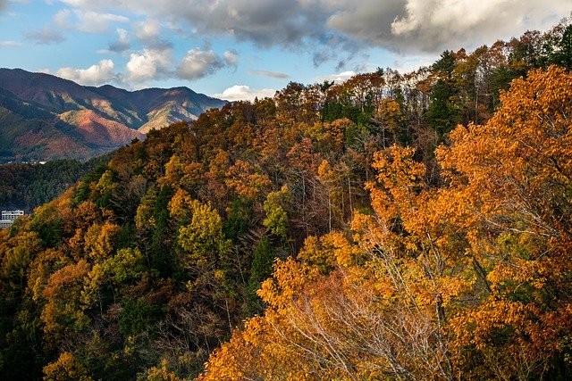 免费下载红森林山 - 使用 GIMP 在线图像编辑器编辑的免费照片或图片