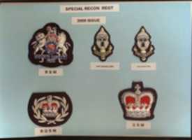 Free download Regimental Sergeant Major Rank Badges 003 free photo or picture to be edited with GIMP online image editor