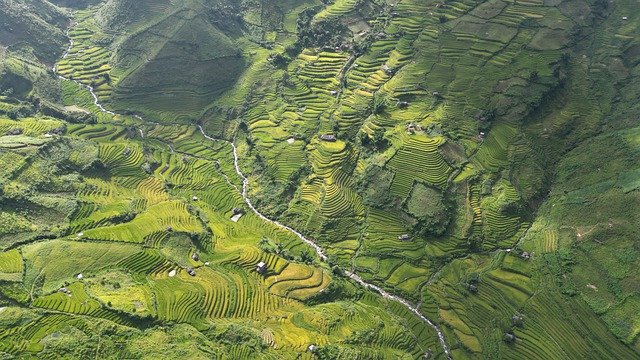 Free download rice field terraces mountain rural free picture to be edited with GIMP free online image editor