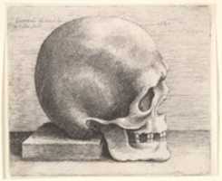 Free download Right Profile of the Skull, after Leonardo free photo or picture to be edited with GIMP online image editor