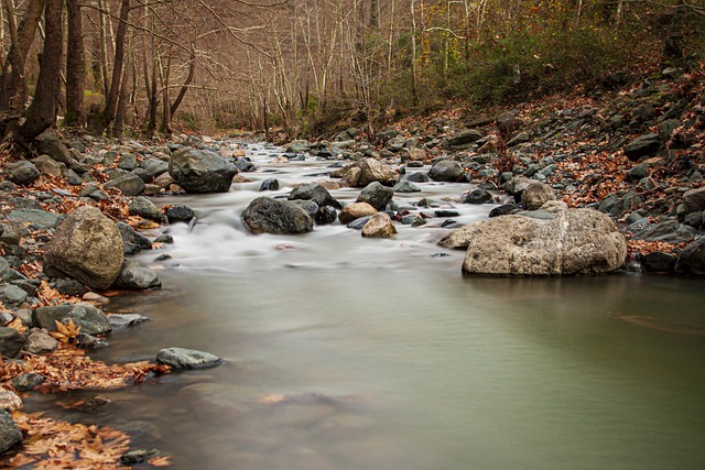 Free download river flow rocks stones trees free picture to be edited with GIMP free online image editor