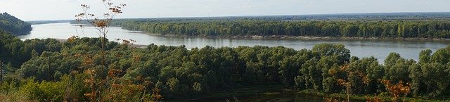 دانلود رایگان River Forest Water - عکس یا تصویر رایگان برای ویرایش با ویرایشگر تصویر آنلاین GIMP