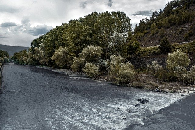 Téléchargement gratuit d'arbres de rivière qui voient la nature image gratuite à éditer avec l'éditeur d'images en ligne gratuit GIMP