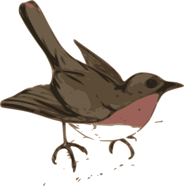 Free download Robin Bird Brown - Free vector graphic on Pixabay free illustration to be edited with GIMP free online image editor