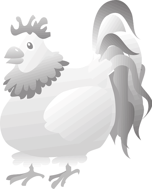 Free download Rooster Bird Grey - Free vector graphic on Pixabay free illustration to be edited with GIMP free online image editor