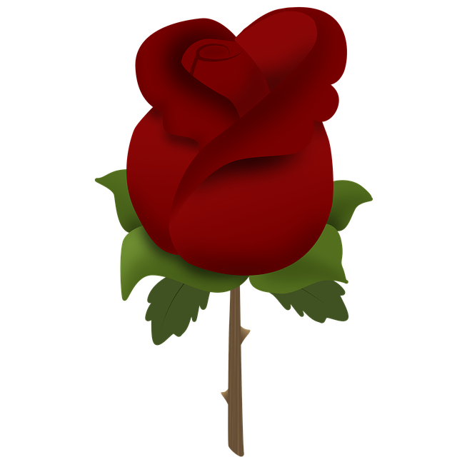 Free download Rosa Flowers Red Rose -  free illustration to be edited with GIMP free online image editor