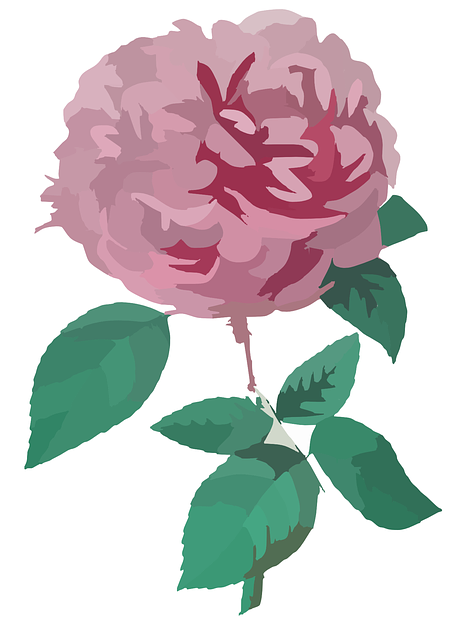 Free download Rose Flower Pink - Free vector graphic on Pixabay free illustration to be edited with GIMP free online image editor