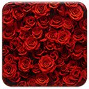 Rosy Red Roses  screen for extension Chrome web store in OffiDocs Chromium